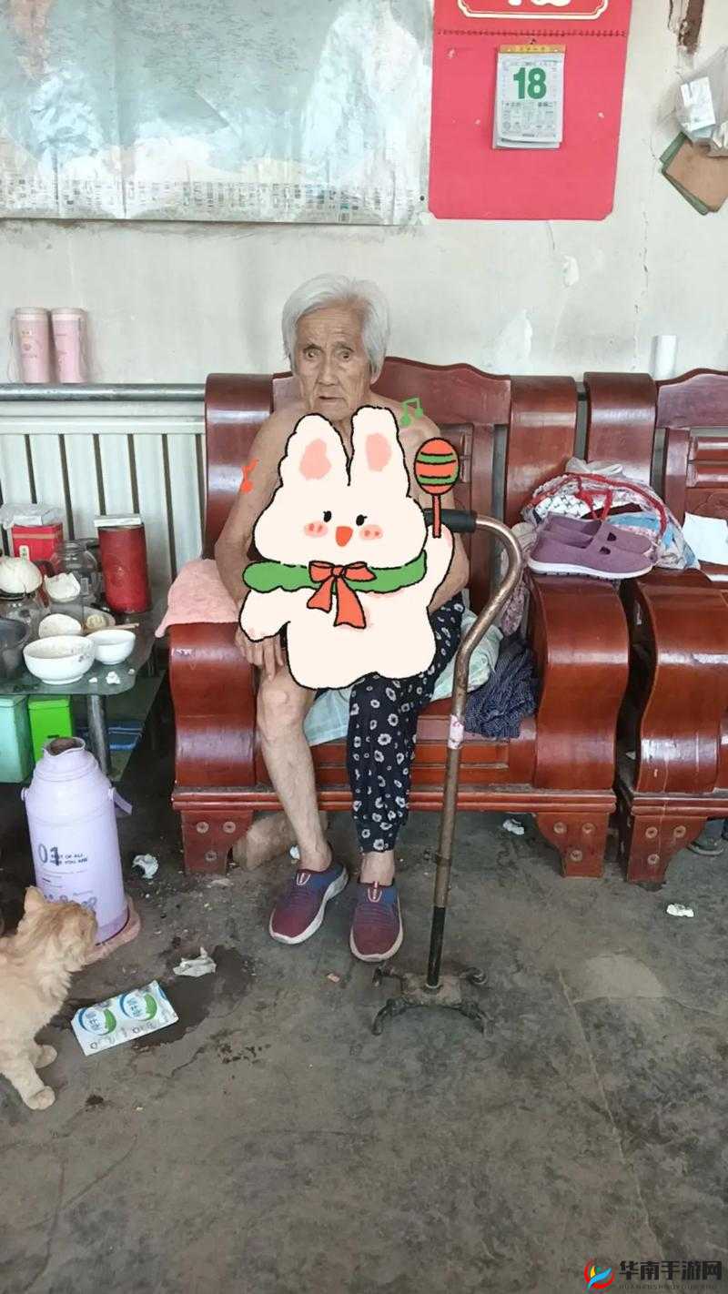 东北老太老头国产完整性ⅩXX:探索老年人的性健康与幸福