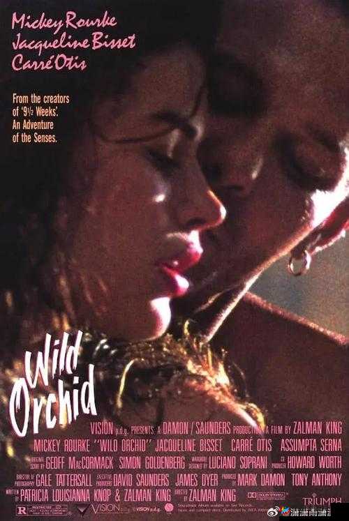 狂野少女:不为人知的秘密:免费完整版电影震撼上映