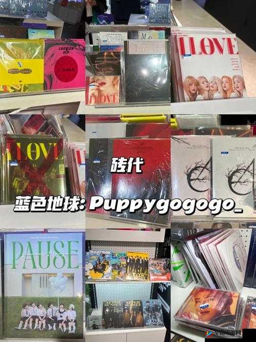 日本韩无专砖码高清：关于其详细介绍与相关探讨