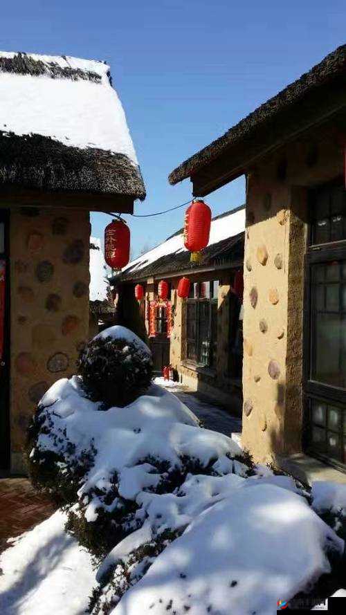 东北那旮瘩母与子写的什么：关于他们生活点滴与情感故事的探讨