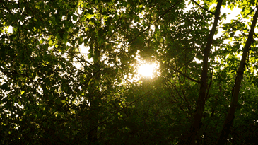 动态图后：被遗忘的时光