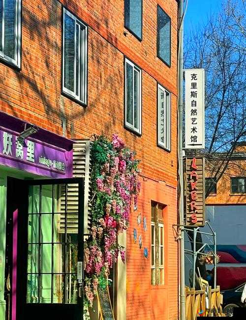 798 艺术区是私人还是国家的:探究其产权归属之谜