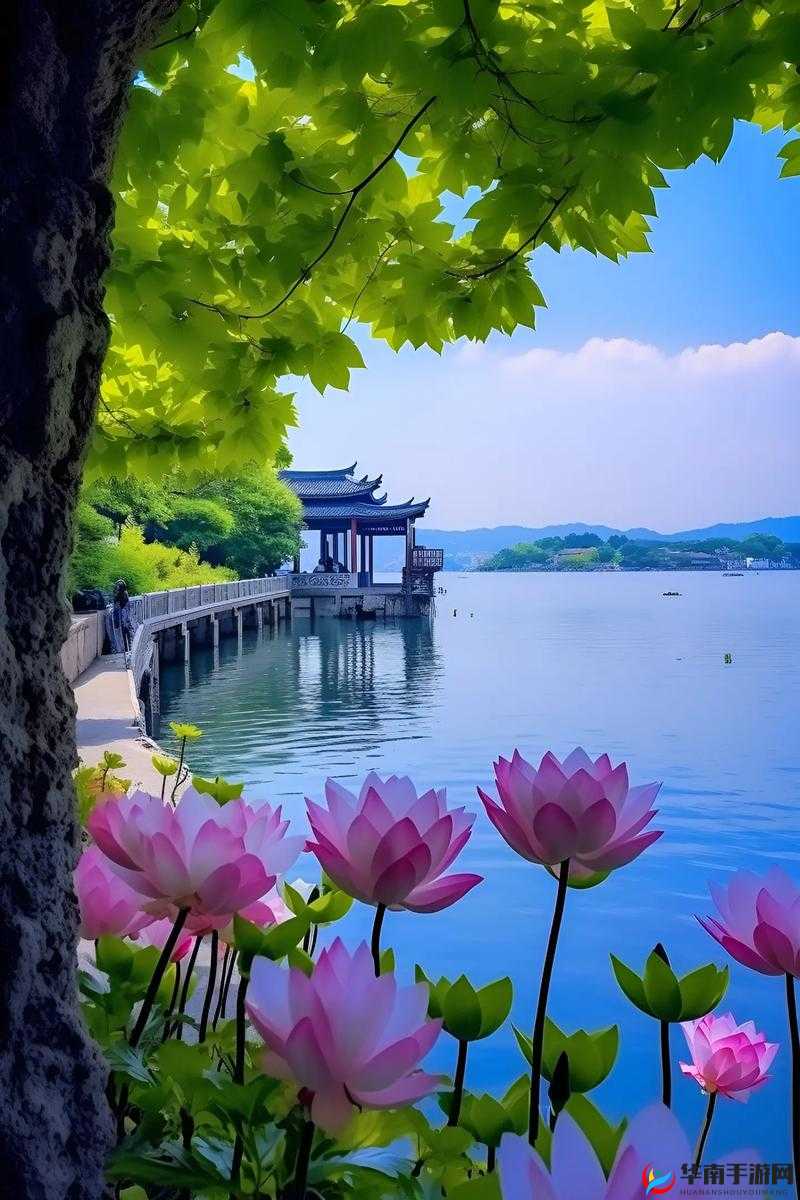 亭亭玉立的六月，国色天香，宛如人间仙境