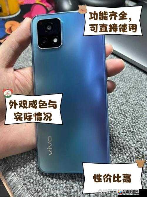 成色好的 y31s 标准版人民网：关于其性能与特点的详细介绍