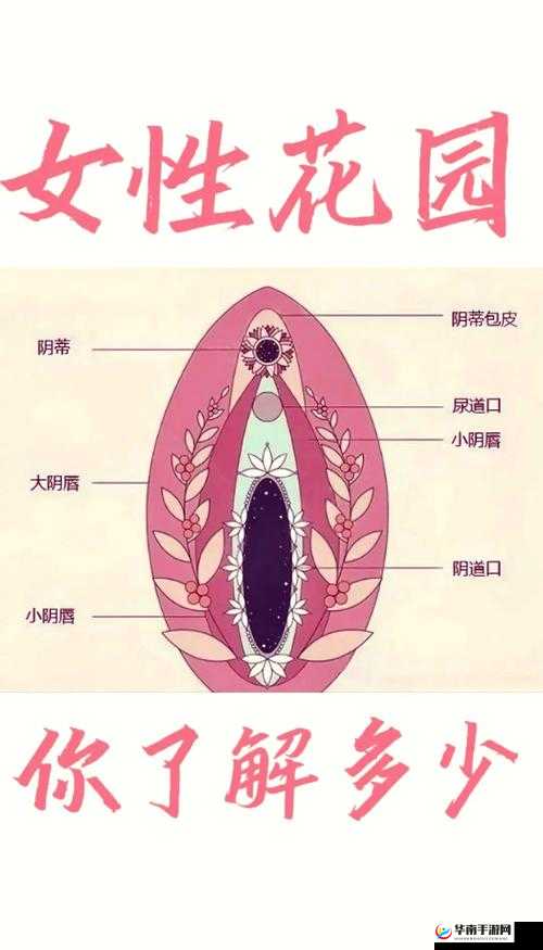 未成年女生的私密部位是什么样子的：专家表示要加强性教育