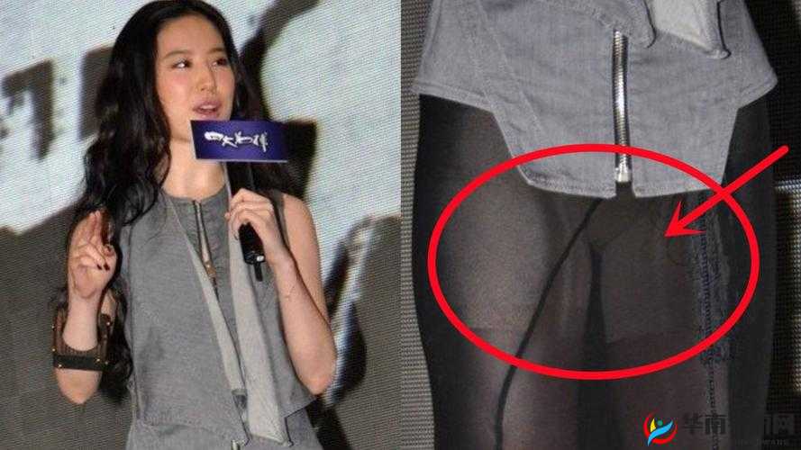刘亦菲裸照门事件：娱乐圈的惊天丑闻