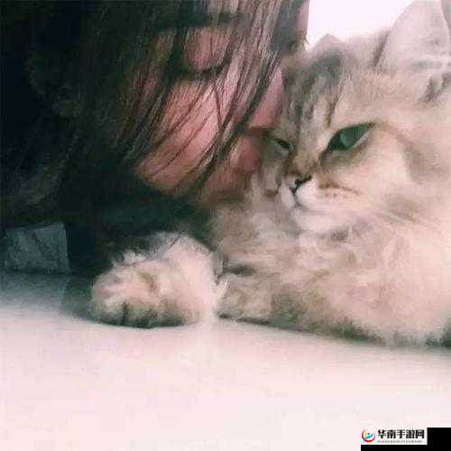 亚洲 AV 永久无码天堂网毛片：人与兽的激情演绎