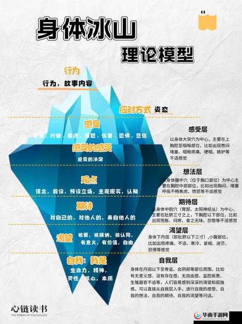 冰霜之力，探索冰人角色的深度与培养方向