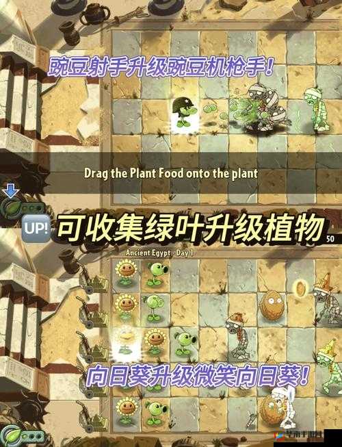 植物大战僵尸2滚筒危机通关秘籍，植物使用技巧大揭秘