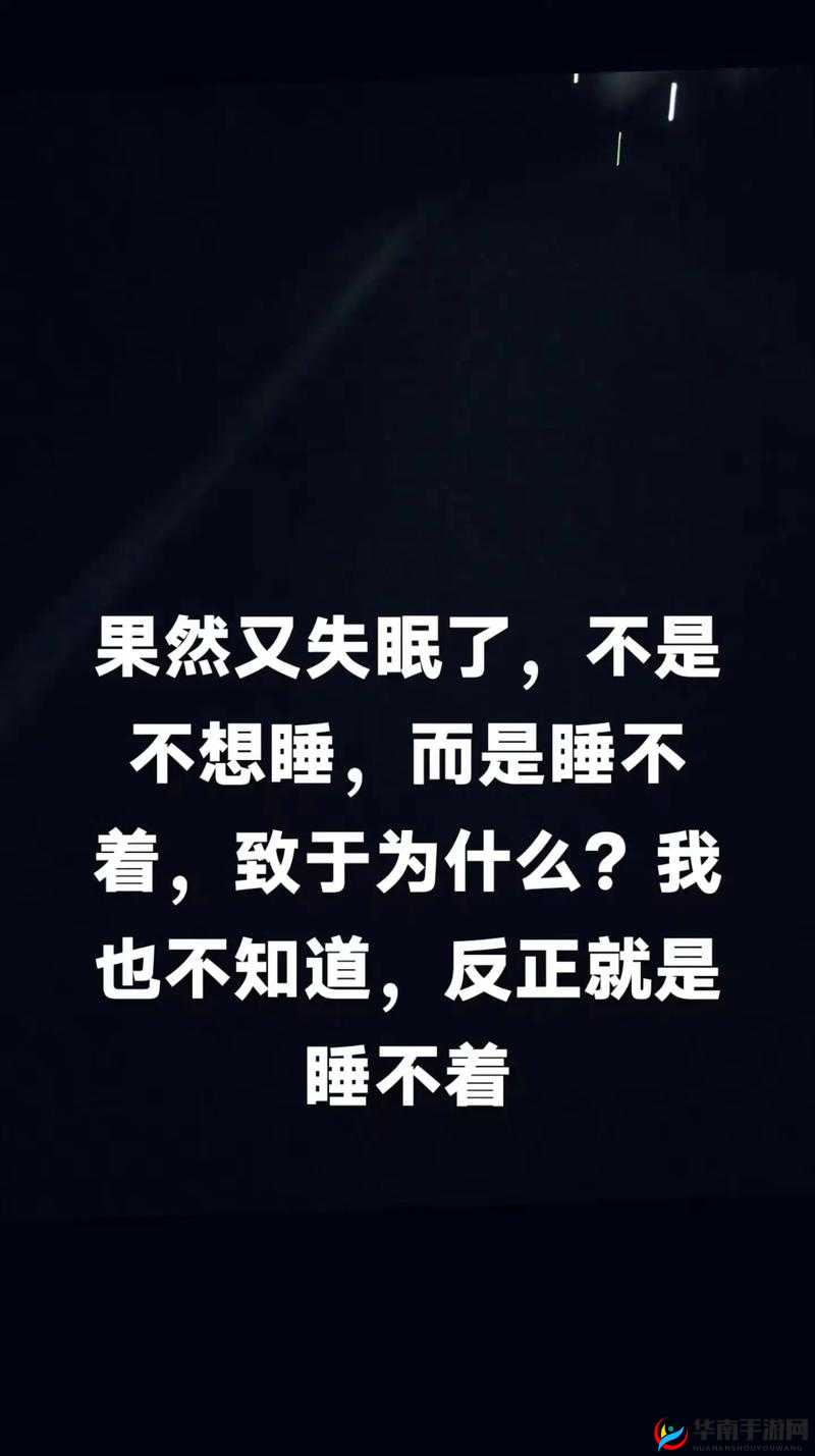 晚上睡不着看 b 站十大视频：探寻更多精彩有趣内容