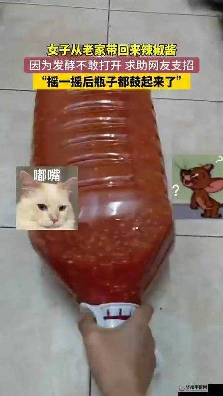 压在墙上酱酱酿酿的叫什么:探寻背后隐藏的故事与情感