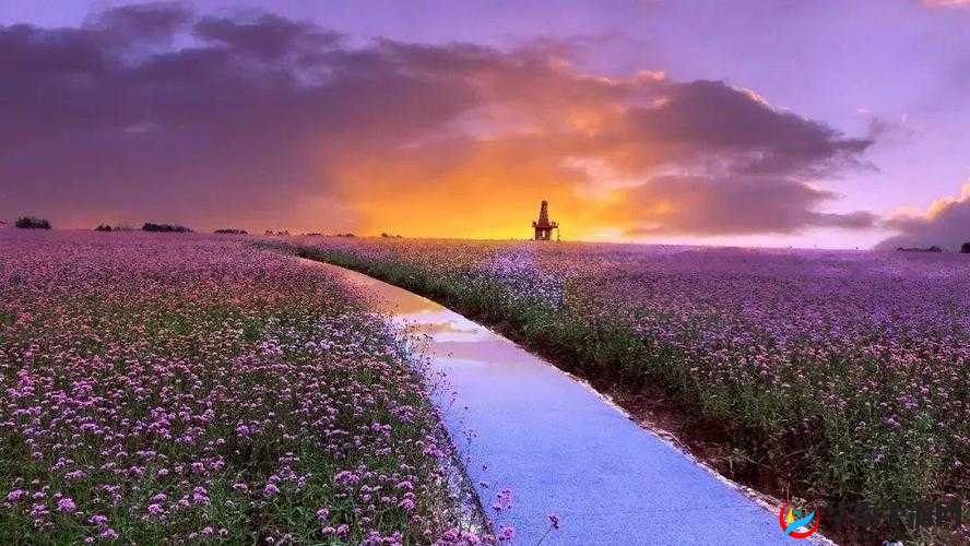 伊园甸：探寻自然之美，领略甸园风情