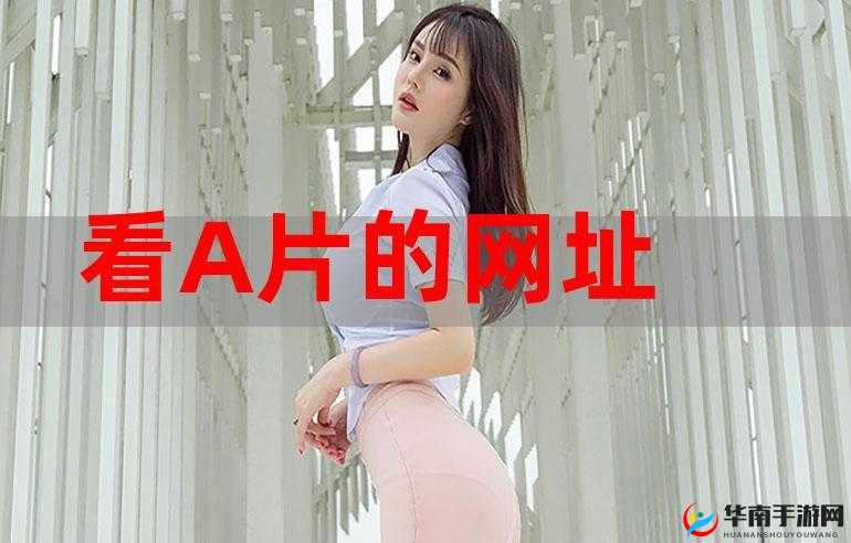 av 网站免费观看：满足你的视觉需求