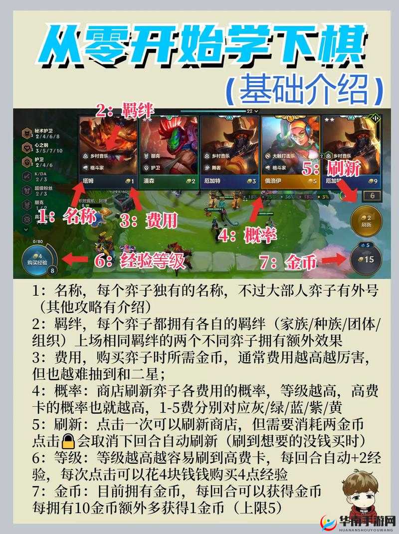 金铲铲之战新手教程全攻略，轻松开启自走棋之旅