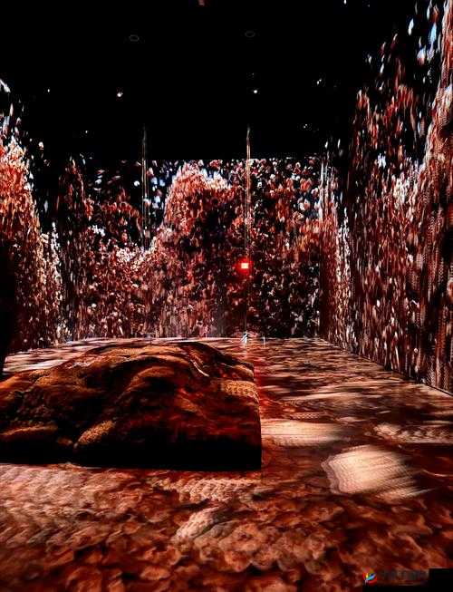 GayXXXXGay2023 ：开启全新非凡的未来之旅