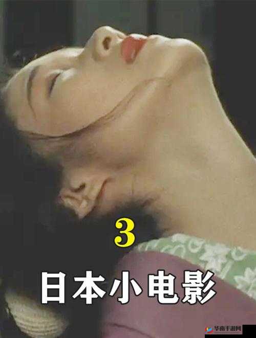 日本高清视频：探索日本成人影视的魅力