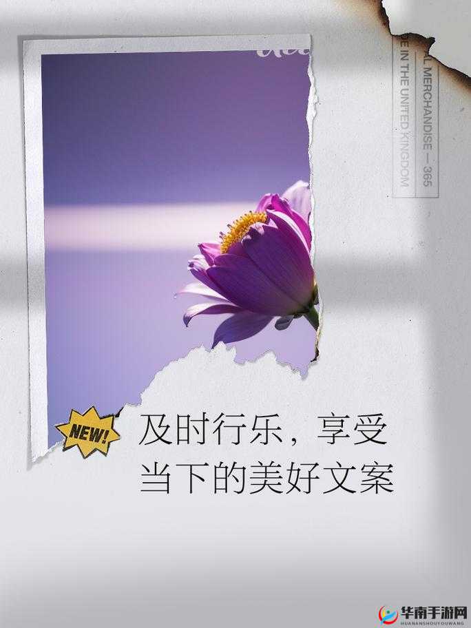 及时行乐 1V2：享受当下的双倍快乐时光