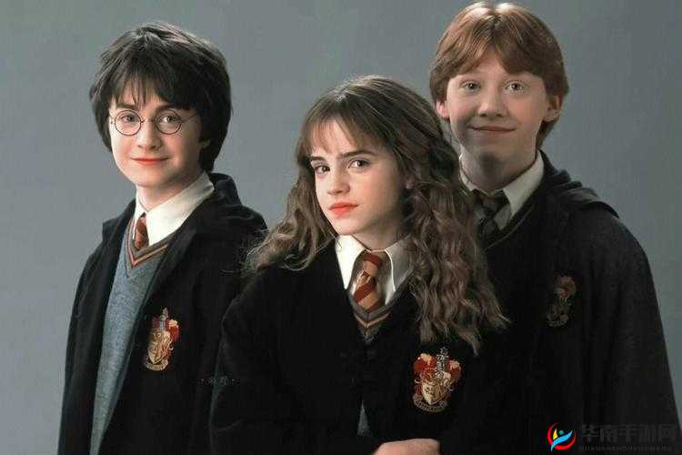 哈利波特三人组卡组怎么配，三人组连胜搭配方式