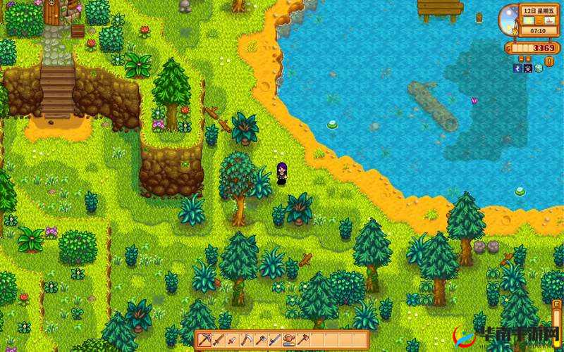 星露谷物语视角调整，资源管理的新视角