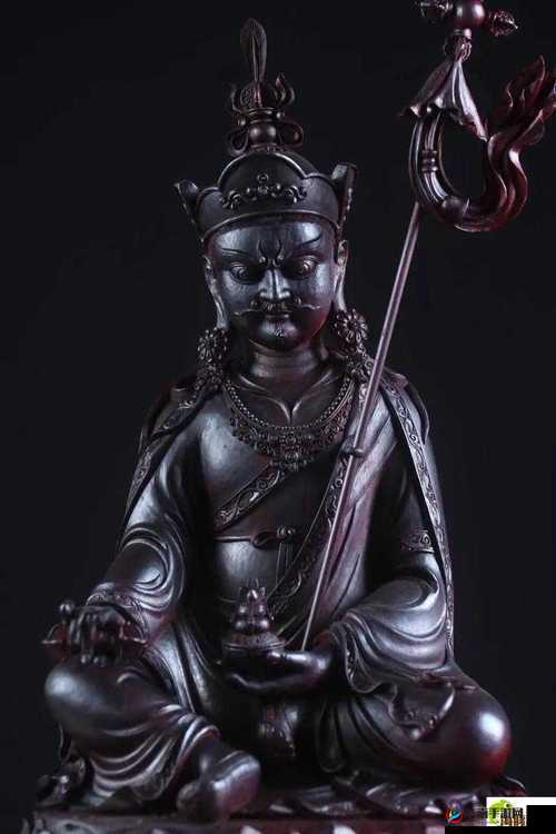 108 金刚杵入莲花后究竟多久会导致瘫痪探究