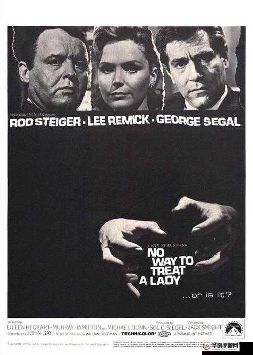 丰裕纵横场玉环 258:关于其独特魅力与重要意义的探讨