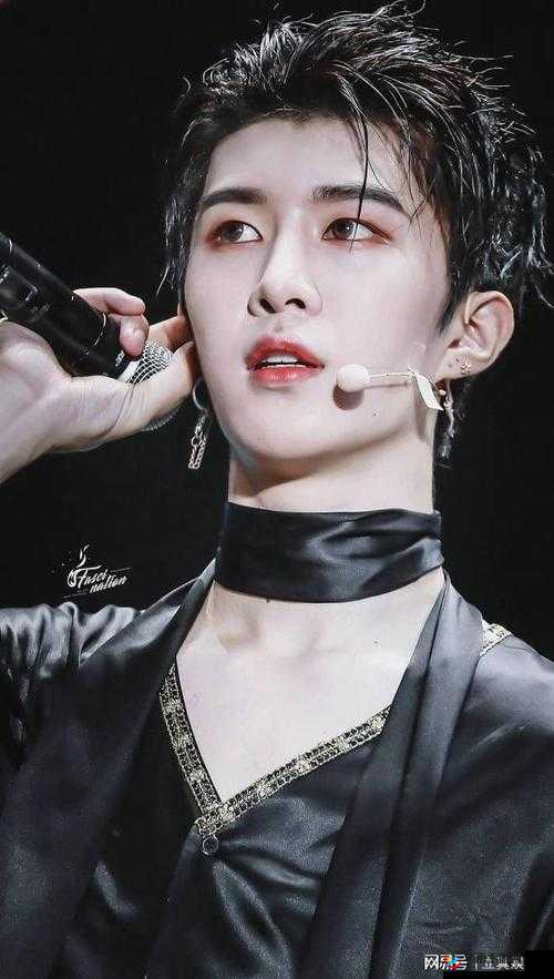 中国小鲜肉 b0ys:打破传统审美的新一代偶像