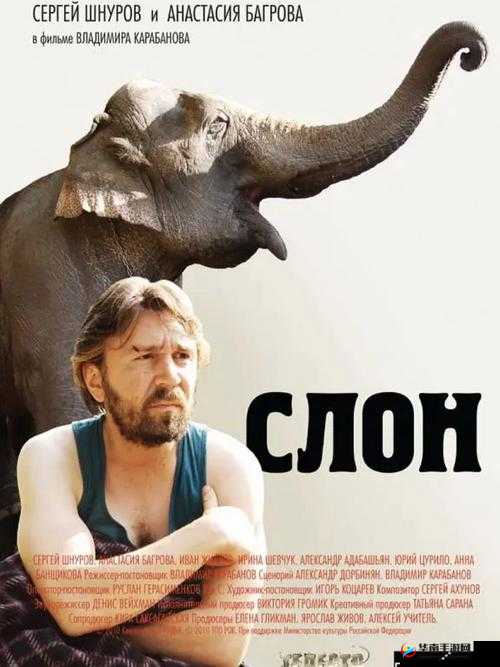 天美麻花星空大象在线看：带你走进奇幻的影视世界