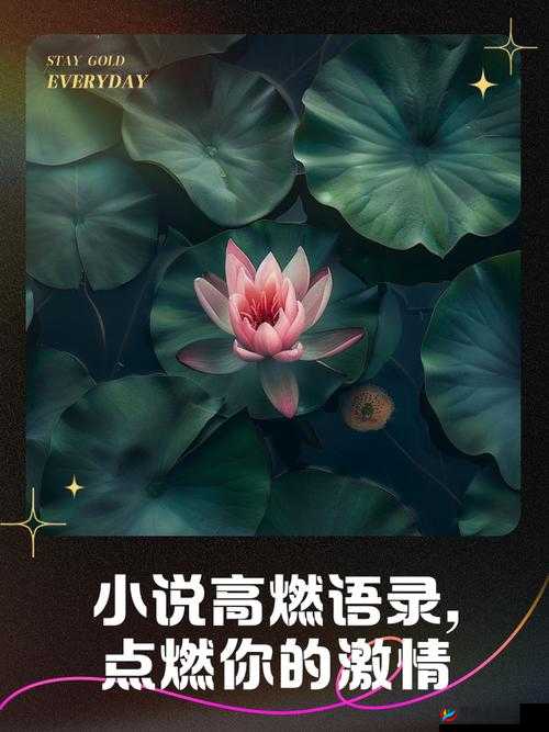 用力呼喊我要，一场古代小说中的激情演绎