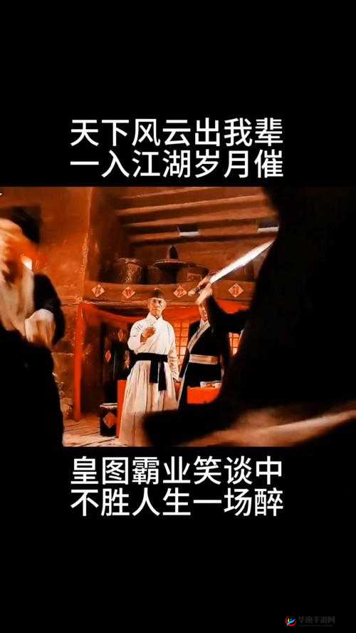 飞贼与江湖，一段传奇的交织