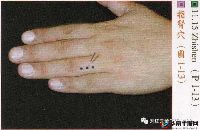 一指挖洞手势技巧：详解其独特魅力与实际应用