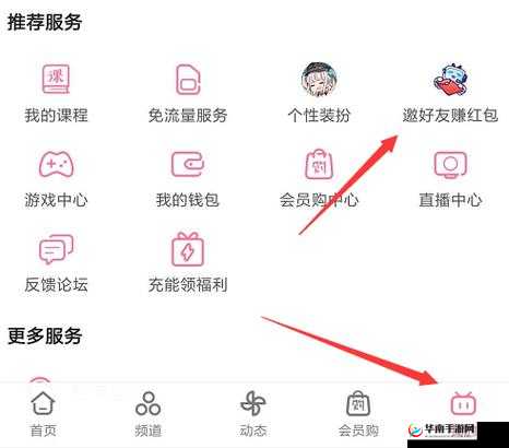 b 站大全永不收费 2024 入口在哪之详细解读与探索分析