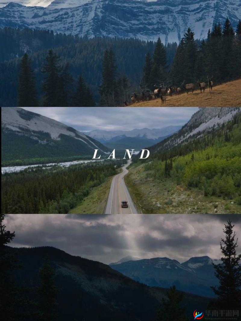 大地资源中文在线观看官网：提供丰富的影视资源