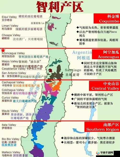 探索 97 一二三产区区别-深入分析各产区的特点与差异