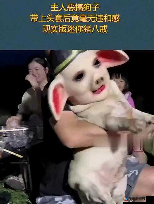 人 or 猪 or 狗已彻底下架：这意味着什么以及后续影响探讨