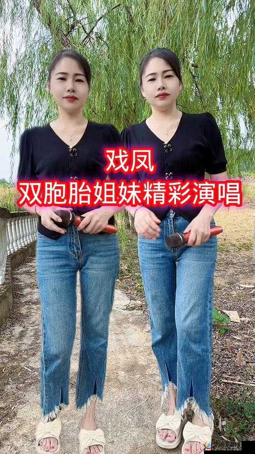 双胞胎姐妹齐上阵的观众评价如何:精彩表现引发的热议浪潮