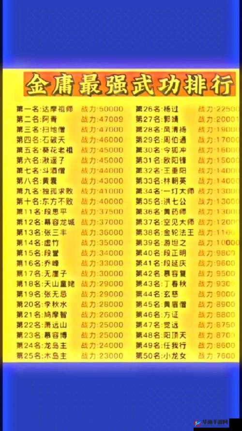 金庸群侠传5，拳系功法与内功的最强之选及其资源管理