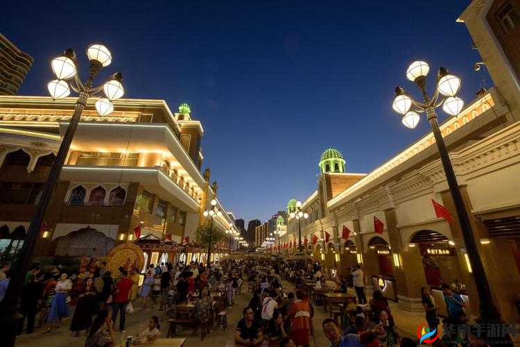 在线国产门新疆一区精品：独特魅力引领非凡体验