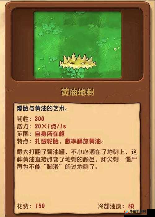 植物大战僵尸2，黄油毛茛强度大揭秘，升级划算吗？