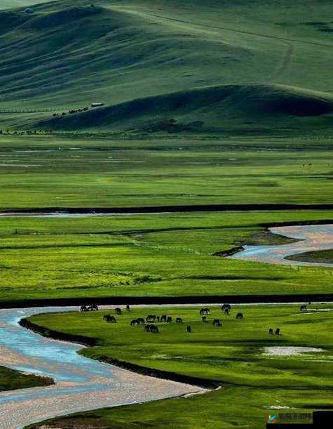 中国 Windows 野外的奇妙探索之旅