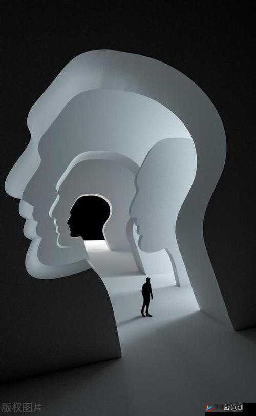 关于看逼逼的那些独特视角与思考