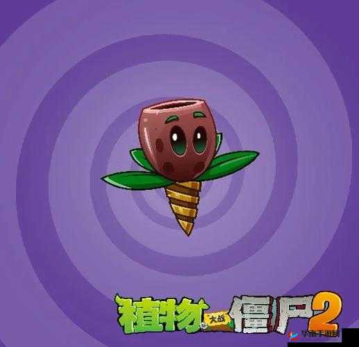 植物大战僵尸2怎么获得橄榄 橄榄坑的用处解析