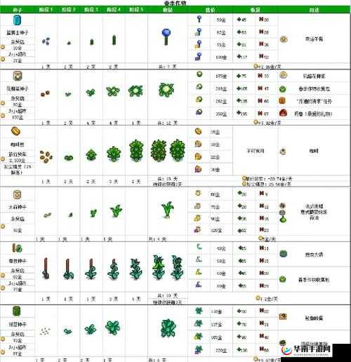 星露谷物语，向日葵的种植收益与奇妙作用