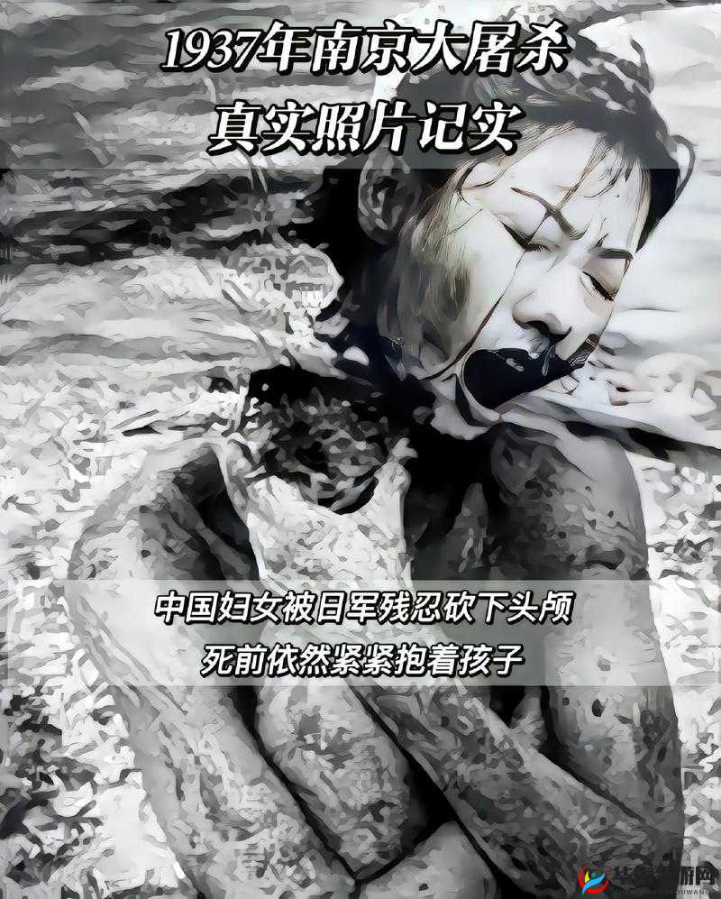 痛痛痛痛痛痛痛免：揭开痛苦背后的神秘面纱