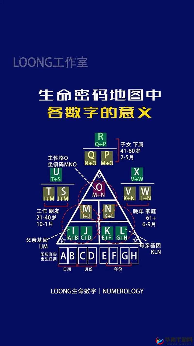 XXXXXL196 ：探索未知世界的独特标识与密码