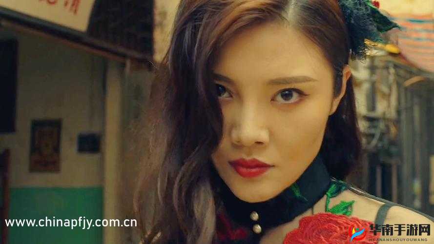 探索最新域名查询，my.72777 呈现精彩内容