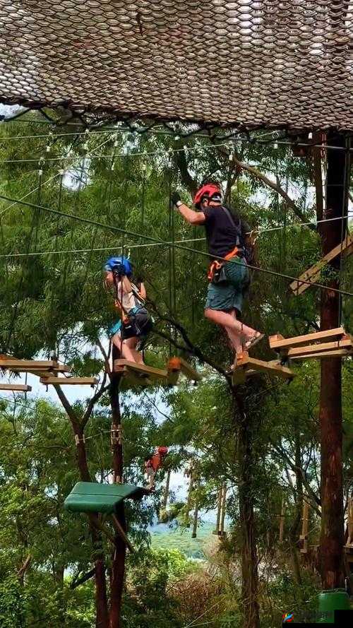 丛林肉搏 1 26qv1 7c ：带你体验刺激的丛林冒险之旅