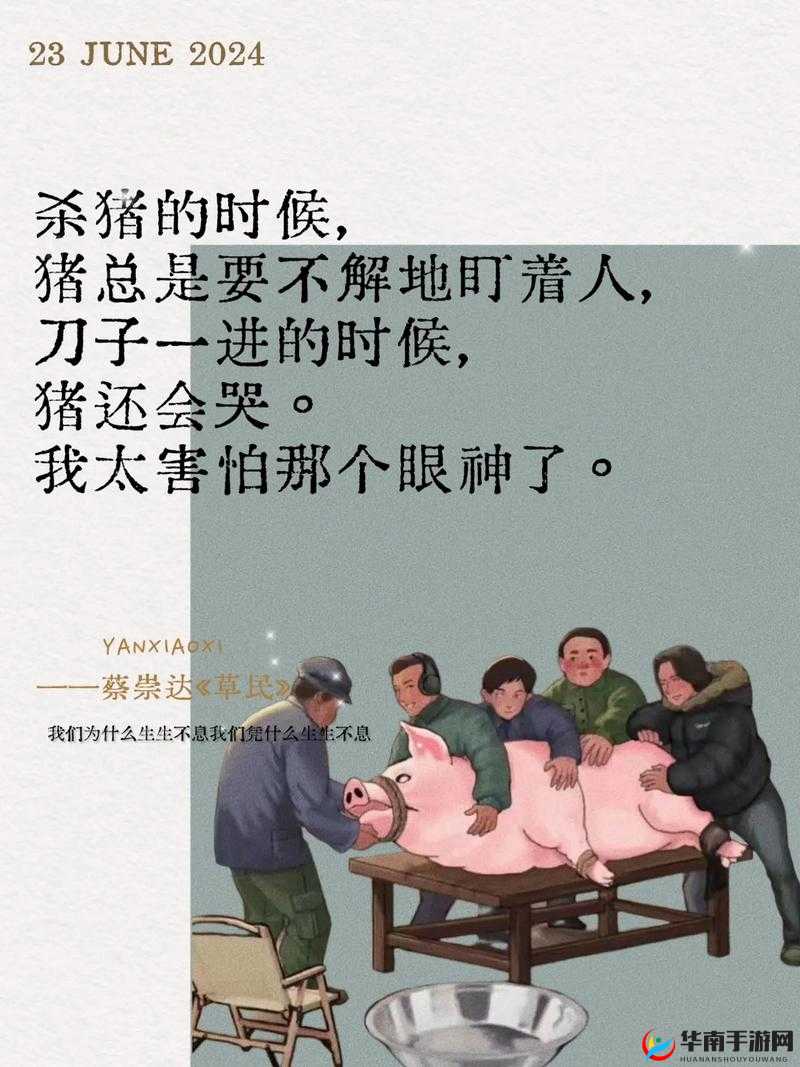一杆大枪草全家：这是一个独特且令人印象深刻的表述