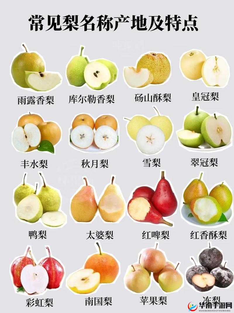 哪种梨有梨中皇后之称：探寻其独特魅力与营养价值