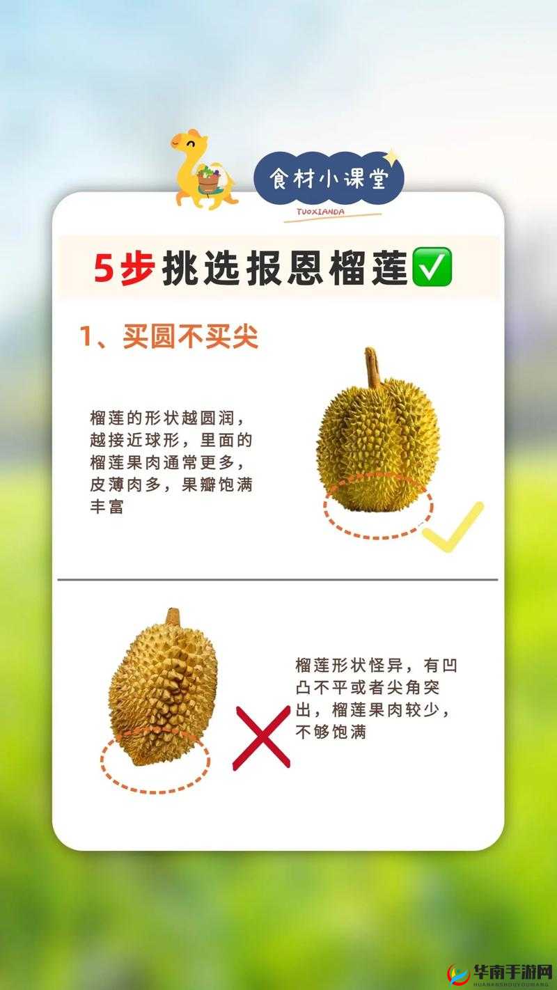 榴莲香蕉苹果哈密瓜水蜜桃：一场甜蜜的水果盛宴之旅