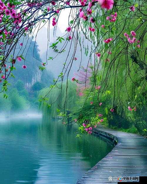 芳草萋萋流水潺潺美不可言：漫步自然的诗意画卷